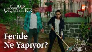 Feride gece gece ne yapıyor  Kırgın Çiçekler Mix Sahneler [upl. by Yrred864]