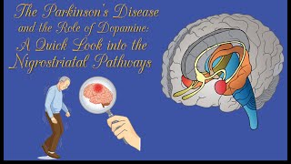 Parkinsons disease Nigrostriatal pathway Dopamine Basal ganglia Putamen and globus pallidus [upl. by Simpkins205]