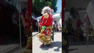 Danza quotSanto Niño de Atochaquot de Torreón Coah [upl. by Ainocal424]