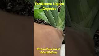 Adubo NPK Fertilizante Orgânico Natural Poderoso [upl. by Drabeck]