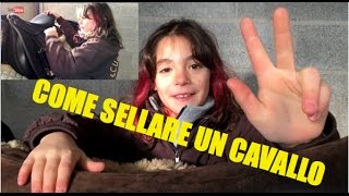 Silvia presenta come sellare il cavallo  puntata Nr 6 [upl. by Vicki]