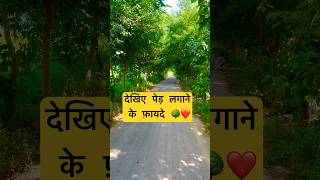 ॥पेड़ लगाने के फ़ायदे ॥ benefits of planting  plantation greenery road shorts youtubeshorts [upl. by Parnell817]