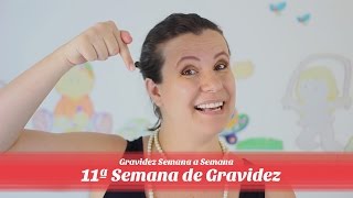 11ª Semana de gravidez [upl. by Lesley]