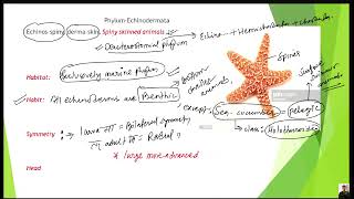 Phylum Echinodermata part 1 for CEEIOMNEET BY KAMAL NEPAL SIR [upl. by Ainollopa]