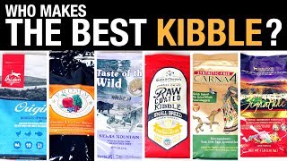 The Pet Food Kibble Review [upl. by Armalla]