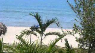 Honduras real estate beachfront home video [upl. by Gladine]