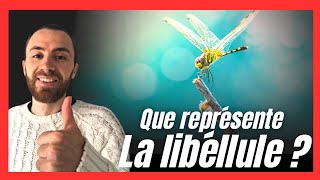 Quelle est la signification de la libellule [upl. by Geldens]