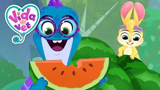 Tidbit Swallows a Watermelon Seed  More  Vida The Vet  Kids Show  Toddler Learning Cartoons [upl. by Lonnard]