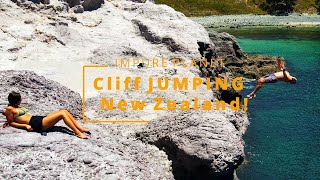 Cliff JUMPING New Zealand [upl. by Sayette]