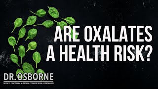 Toxic quotSuperfoodsquot  Are Oxalates a Health Risk [upl. by Jarlen67]