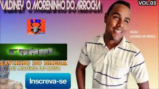 VALDINEY VOL3  O MORENINHO DO BREGA 2024 [upl. by Arrimat]