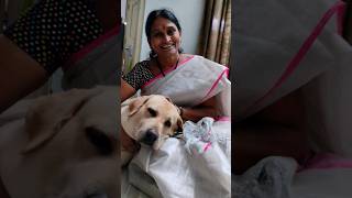 Tooty 🐕🐕 అల్లరి petlovers🐶🐕youtubeshorts 🐕🦮 [upl. by Ladiv453]