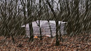 Building a Woodland Cabin with Plastic Wrap • BUSHCRAFT SHELTER • Camping in Heavy Rain • ASMR [upl. by Higgs826]