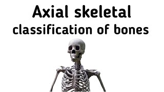 Axial Skeleton and Classification Of Bones [upl. by Ynad]