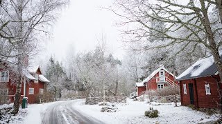 ▷ MY LITTLE VILLAGE IN THE SWEDISH COUNTRYSIDE [upl. by Rollet]