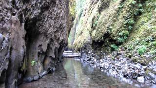 Oneonta Gorge and Falls [upl. by Aiclef]