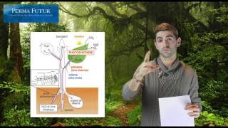 Biologie végétale  Comprendre les plantes [upl. by Naerb]