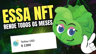 NFT MÃO DE ALFACE  O QUE É E COMO FUNCIONA [upl. by Suivatra]