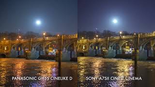 Low light comparison GH5s vs A7SII vs A7RIII [upl. by Ludlew36]