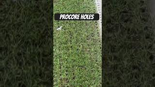 Toro Procore 648 Holes [upl. by Raknahs]