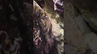 Exploring Oregon Sea Caves at Hug Point Beach 🌊 [upl. by Mcclenon]