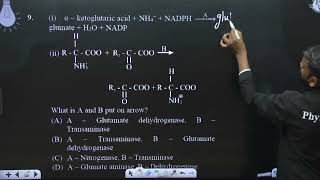 iampnbspampnbspampnbspampnbspampnbsp ampalpha ampndash ketoglutaric acid  NH4  NADPH amp8594Agluma [upl. by Charry]