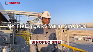 My Five Years with Sinopec [upl. by Waddell988]