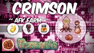 Terraria Crimson Key Farm  13 AFK Farm  Ichor  Mimic  Vitamins [upl. by Ikcim]