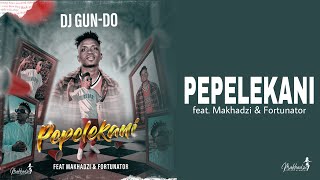 Dj GunDo SA  PEPELEKANI Official Audio Visualizer feat Makhadzi amp Fortunator [upl. by Chryste]