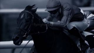 Whatever It Takes Horse Racing Music Video [upl. by Neisa]