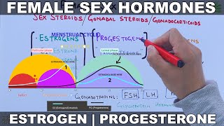 Gonadotropin Releasing Hormones  Endocrine physiology USMLE Step 1 [upl. by Siwel277]