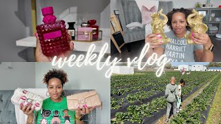 Vlog 135  Fragrance Tray Update Coach Quilted Tabby Family Time [upl. by Analaf]