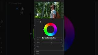 How to Change Colors in Adobe Premiere Pro [upl. by Cristiona708]