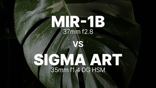 MIR 1B 37mm f28 vs SIGMA 35mm f14 DG HSM ART [upl. by Eninaej969]