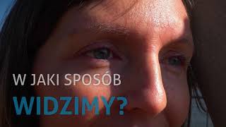 Mózg to wielki spryciarz odc 1  W jaki sposób widzimy [upl. by Sibley]