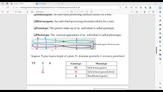 HSC Biology paper 2 Chapter 11 Genetics and Evolution Class 1 [upl. by Tacita]