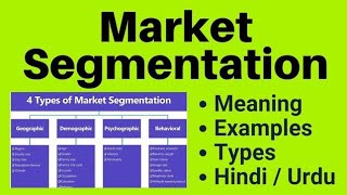 Market Segmentation By Knowledge Topper UrduHindi [upl. by Roth]