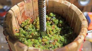 Making a White Wine from Grapes [upl. by Kilgore]