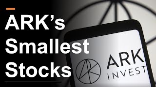 ARK Invests Smallest Stocks  Two Might Be a Buy [upl. by Torrey]