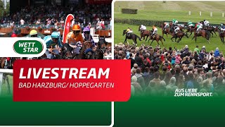 Livestream BerlinHoppegarten Bad Harzburg 2107 [upl. by Oidale]