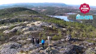 Stolt øyværing  Frøya og Hitra [upl. by Nabetse]