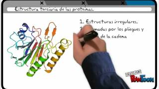 RESUMEN ESTRUCTURA DE PROTEINA [upl. by Sirehc230]