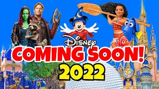 Disneyland Rides 2024 Ultimate Guide  EVERYTHING You Need to Know [upl. by Yve]