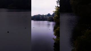 Weißensee shortvideo viralvideo viralshort new nature [upl. by Grossman276]