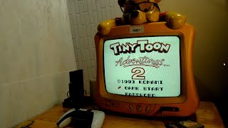 Gaming on CRT  Analogue Pocket  Tiny Toon Adventures 2 Gameboy  Pooh CRT TV [upl. by Hayotal]