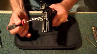 Sig Pro Hammer Box Disassembly and Reassembly [upl. by Idahs]