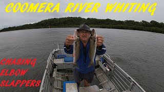 WHITING FISHING COOMERA RIVER 10TH FEB 2024 [upl. by Derraj196]