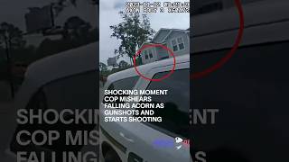 Shocking Moment Cop Mishears Falling Acorn As Gunshots and Starts Shooting shorts [upl. by Retswerb]