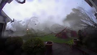 Every tree in this Michigan yard came down during tornado conditions [upl. by Vardon]