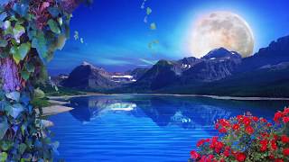 Nature Background Loop  Free Background  HD  60 fps [upl. by Ardnuahsal396]